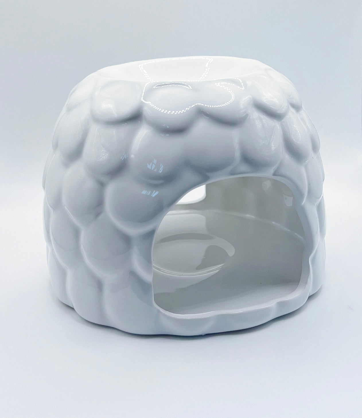 ACORN WAX MELTER
