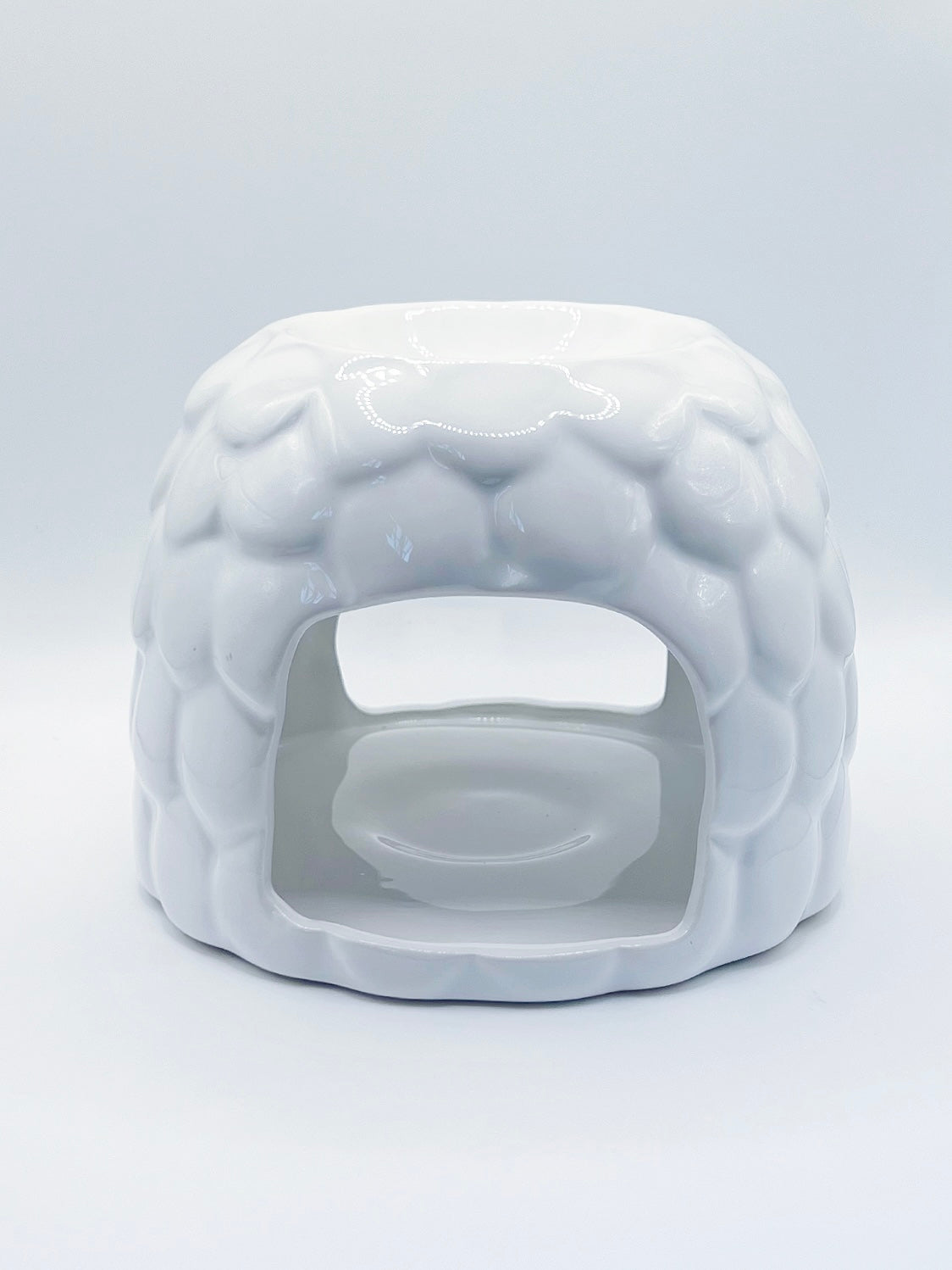 ACORN WAX MELTER