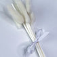REPLACEMENT FIBRE REEDS & PAMPAS