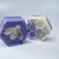 CLEAN & FRESH HONEYCOMB MELTS - INDIVIDUAL