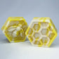 SWEET & FRUITY HONEYCOMBS - INDIVIDUAL